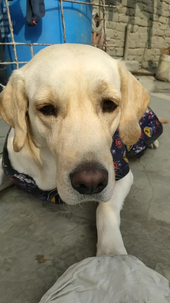 @Pranav Kumar