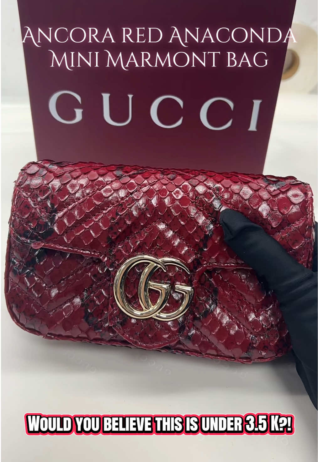 @amanda_gucci