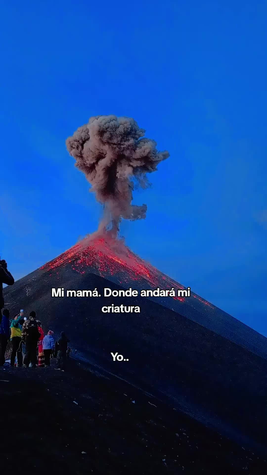 @alisvelasquez18