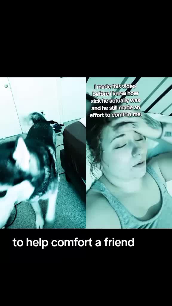 @Ser_Shadow13