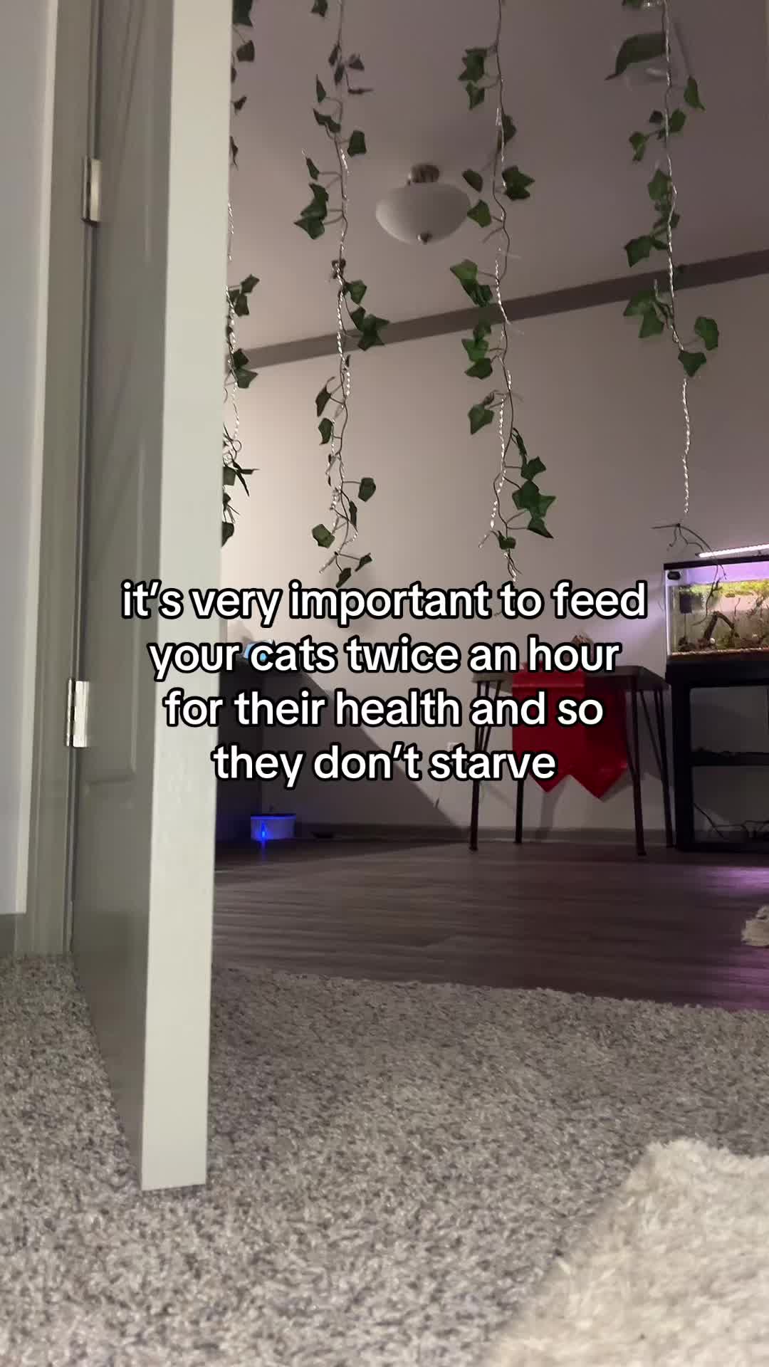 @megancamp117