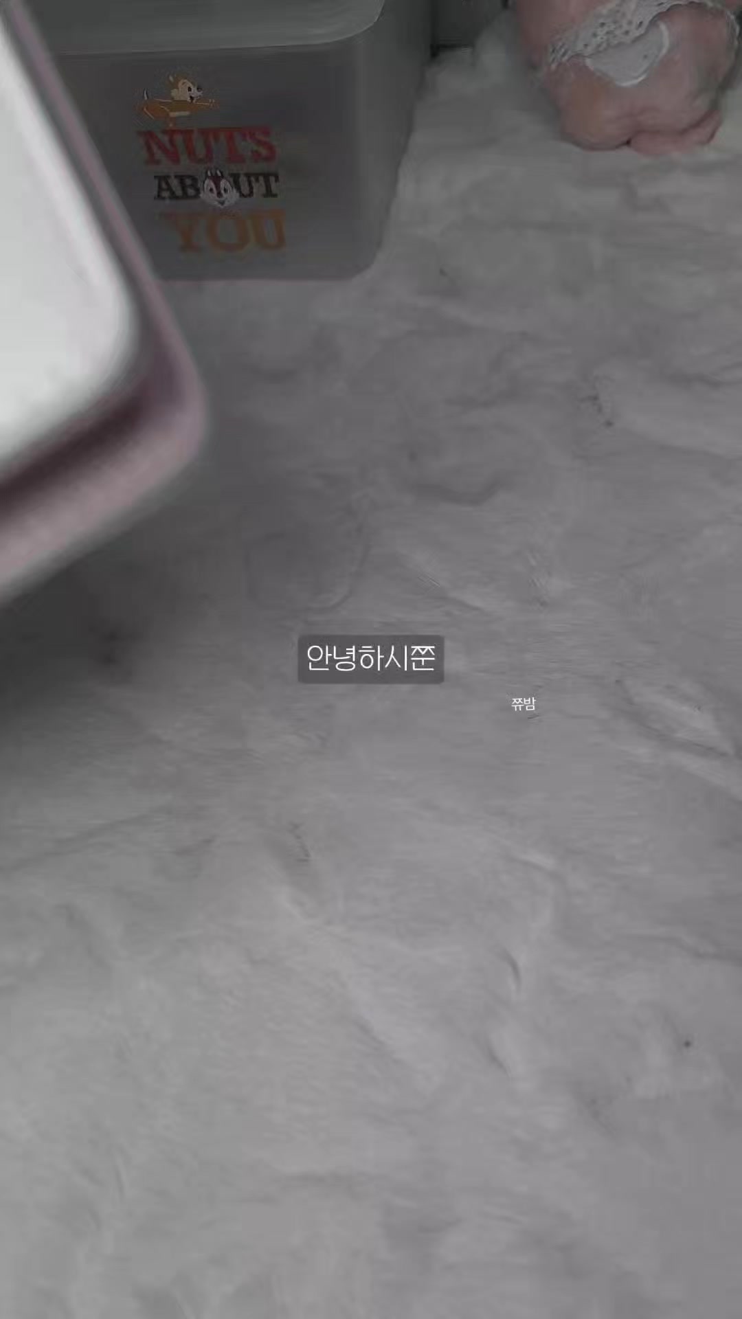 @꒰ঌੈ✩쮸밤ੈ☆໒꒱