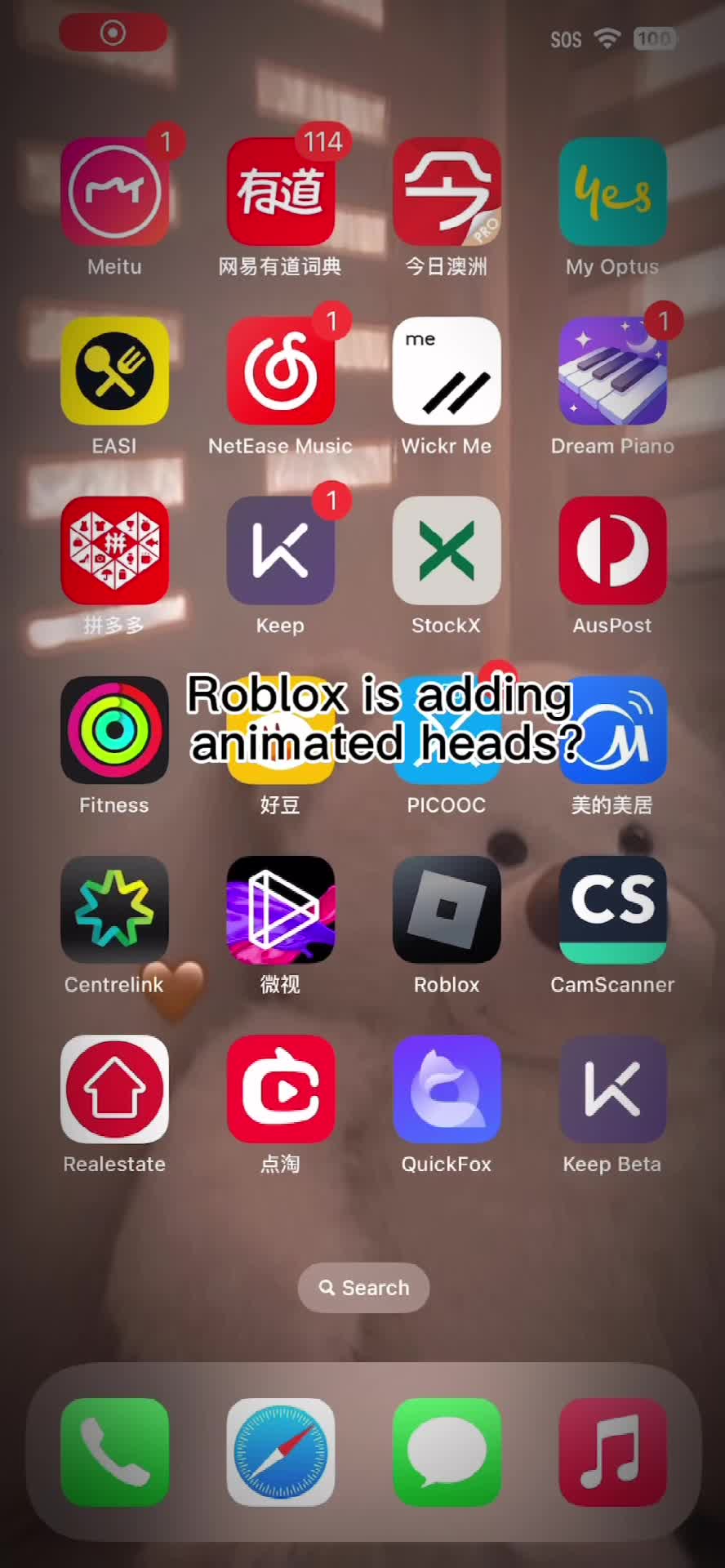 @Roblox edits!