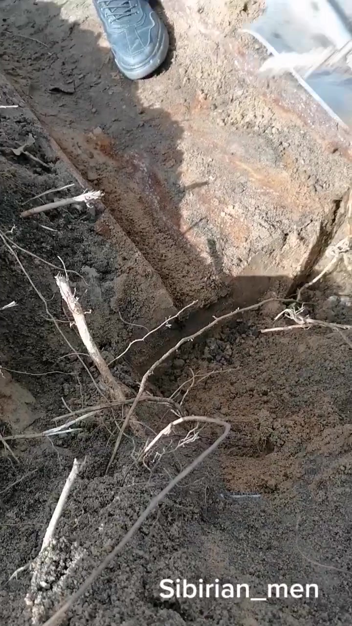 @Сибирский металокоп_38