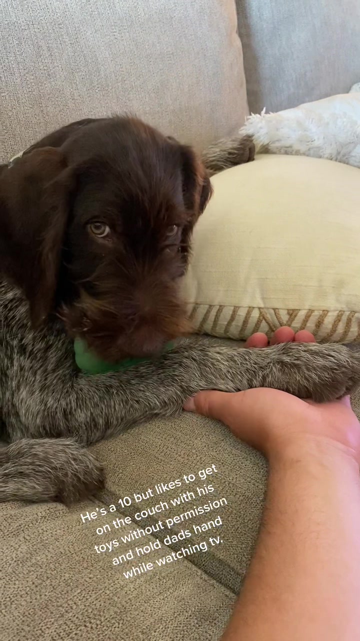 @Robert.tlbwc