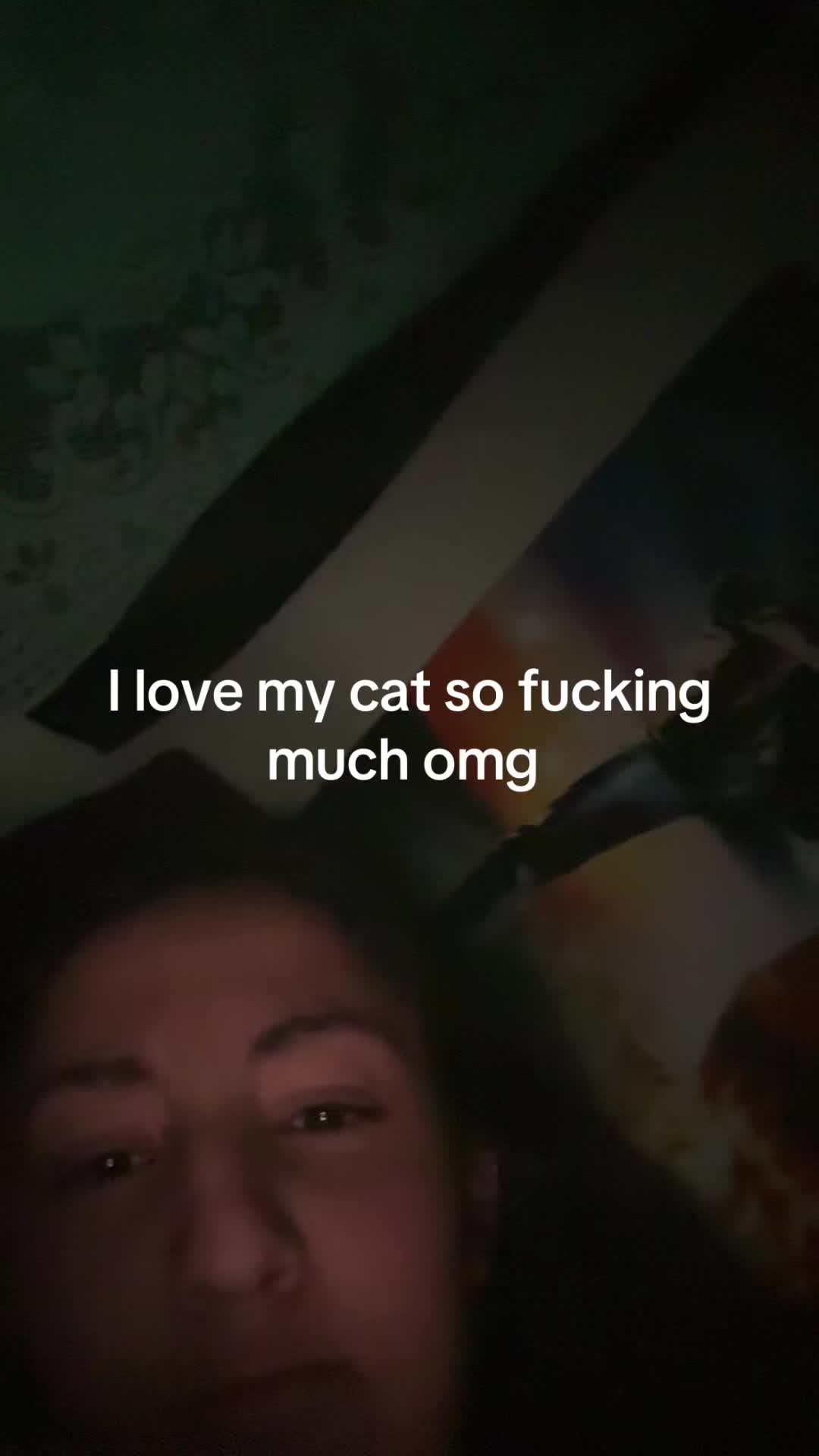 @🦖