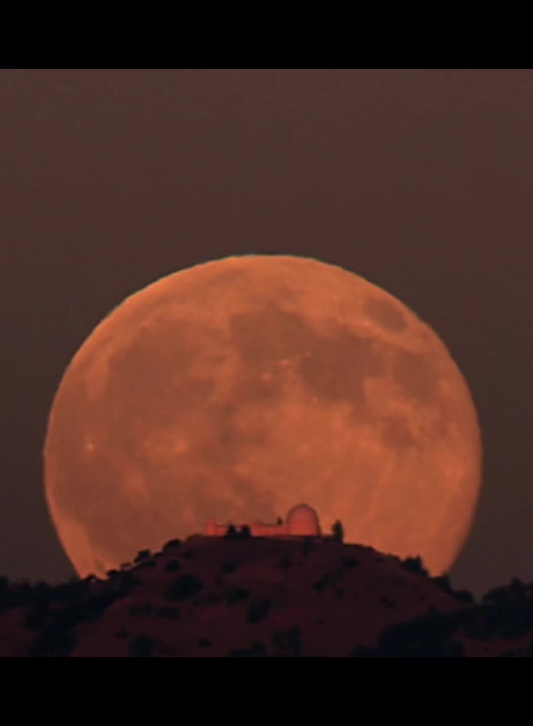 @Moon_Night_Glare