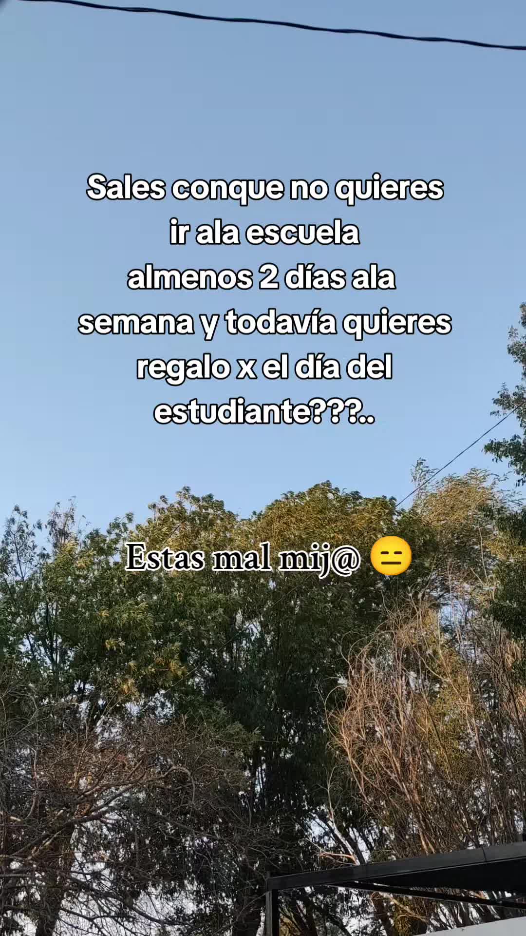 @Sandra (✿^‿^)