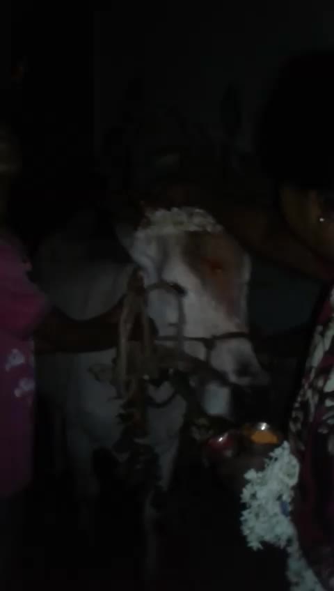 @yashodha yashu