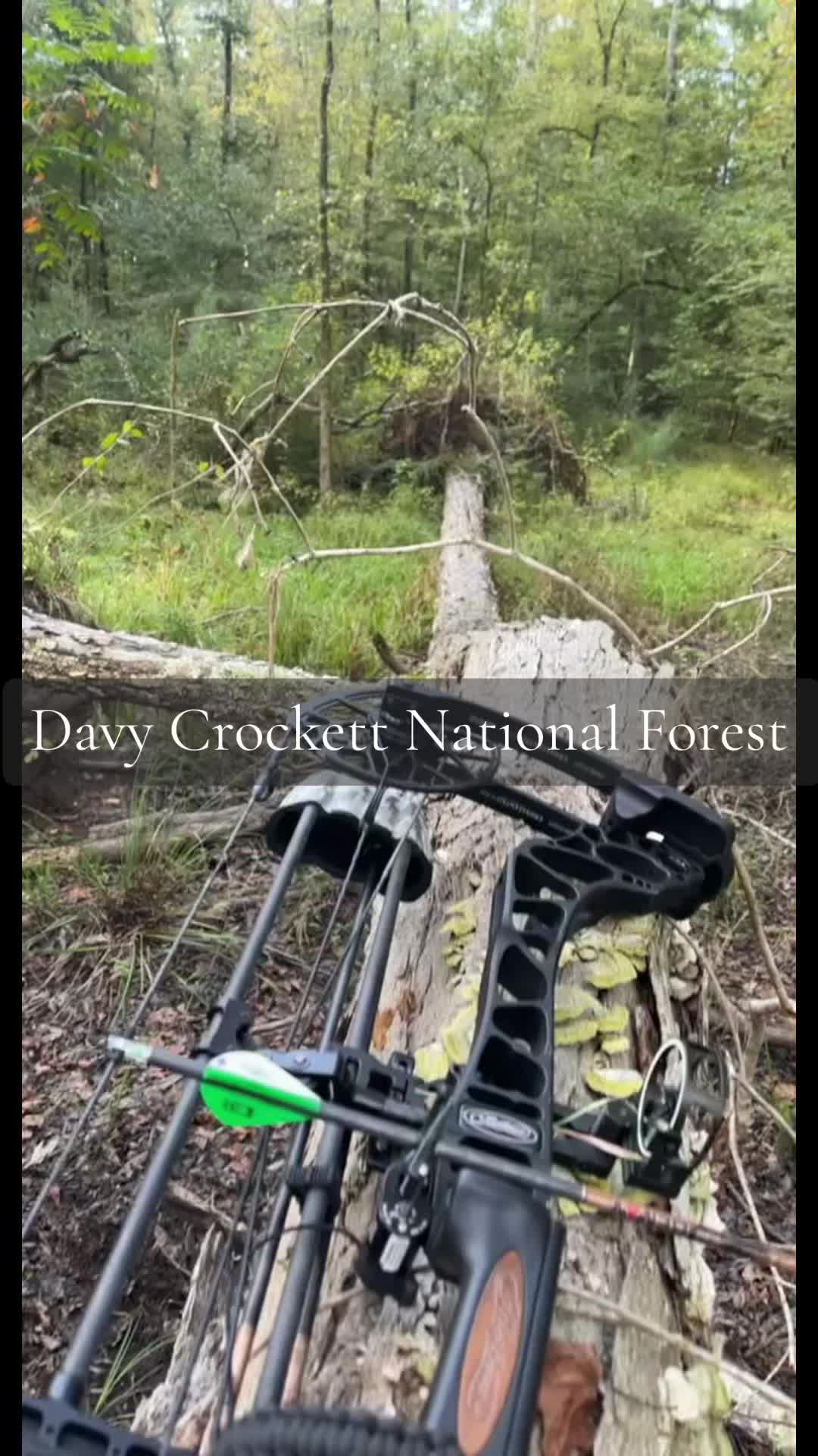 @Mark 🏹🦌
