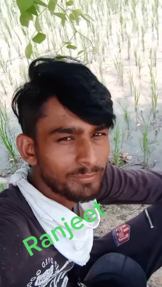 @Ranjeet 838383