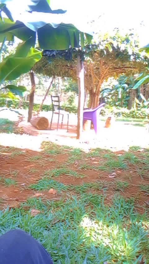 @MC Transformer