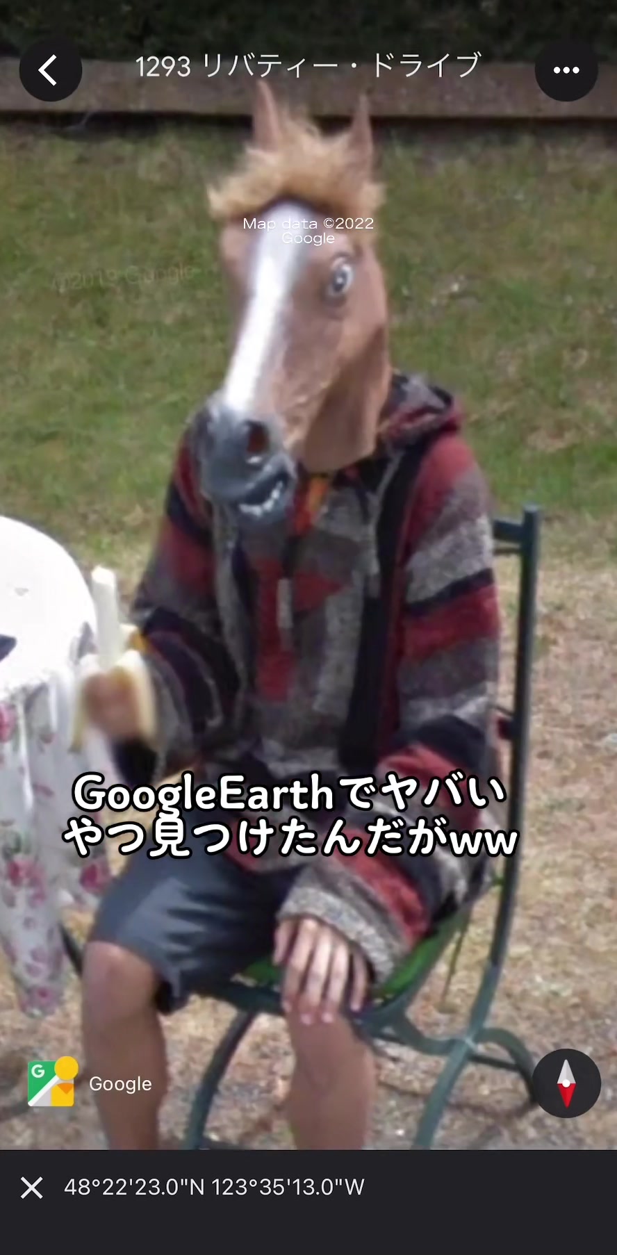 @Google Maps Guy