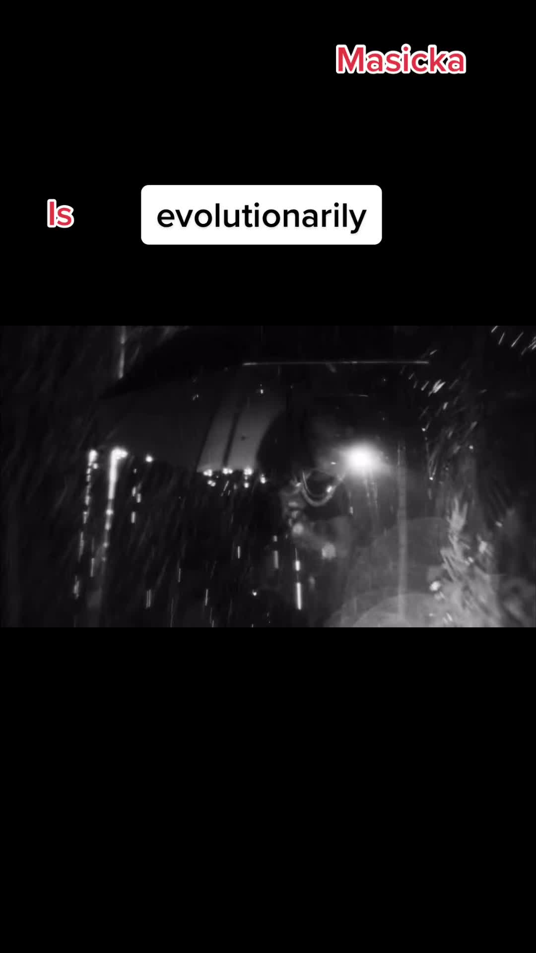 @worldofmuzik