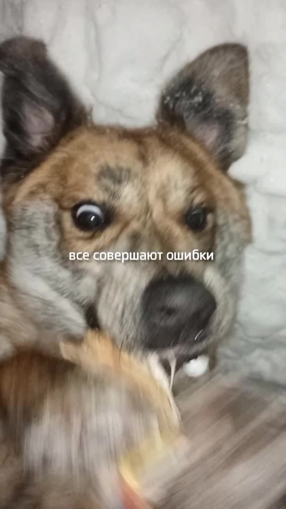 @Тигрёнок🤫