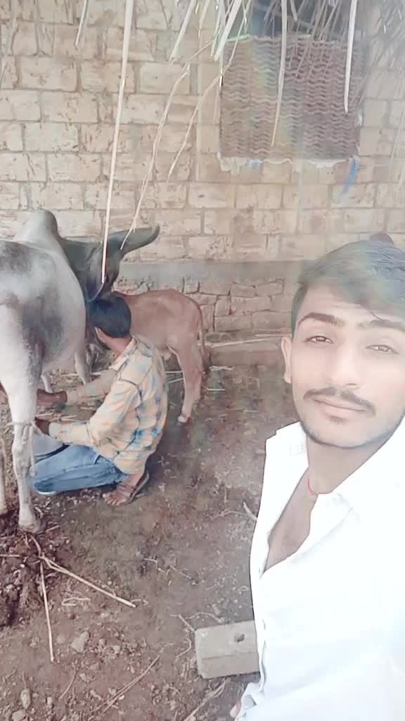@Ravliya Dinesh