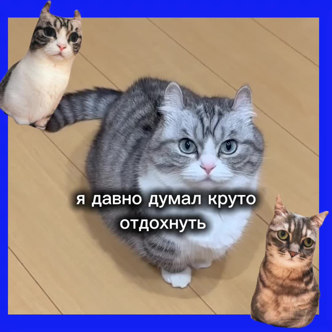 @Истории Комару @