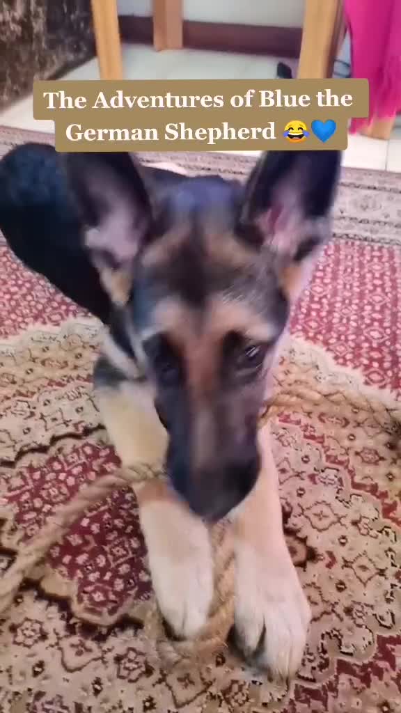 @𝓛𝓮𝓪𝓷𝓭𝓻𝓪