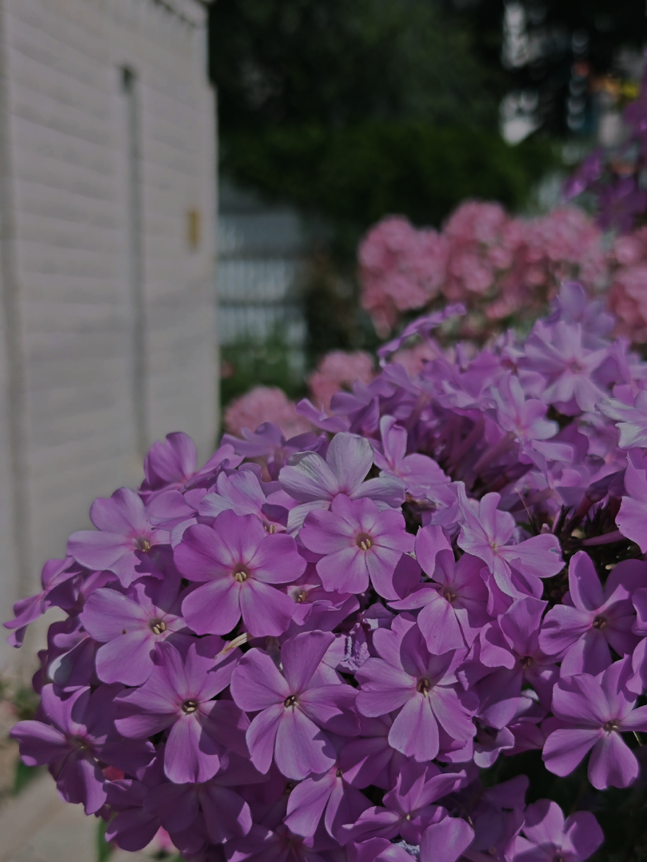 @ℕ𝕒𝕥𝕦𝕣𝕖 𝕝𝕠𝕧𝕖𝕣🌿