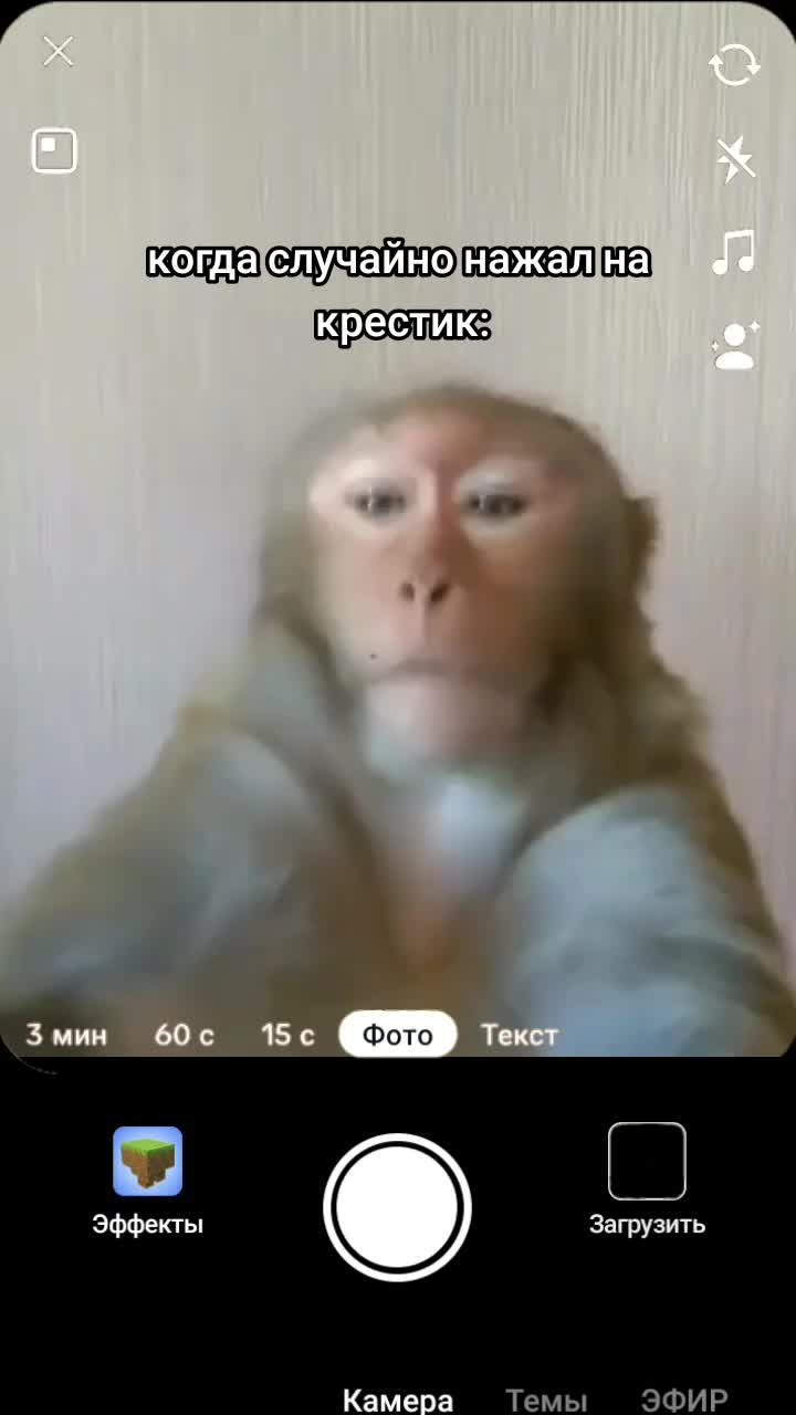 @Помидор