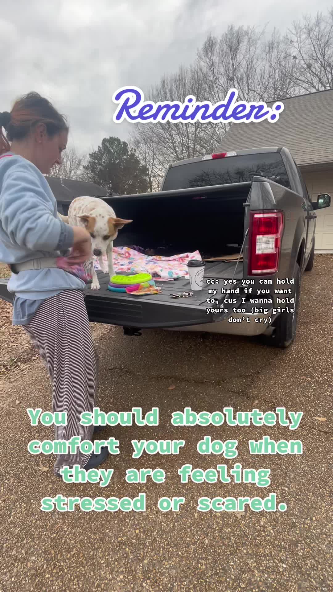 @sentientsparky