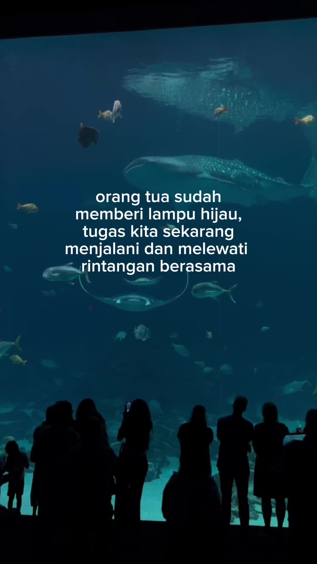 @SUKA GALAU🥀