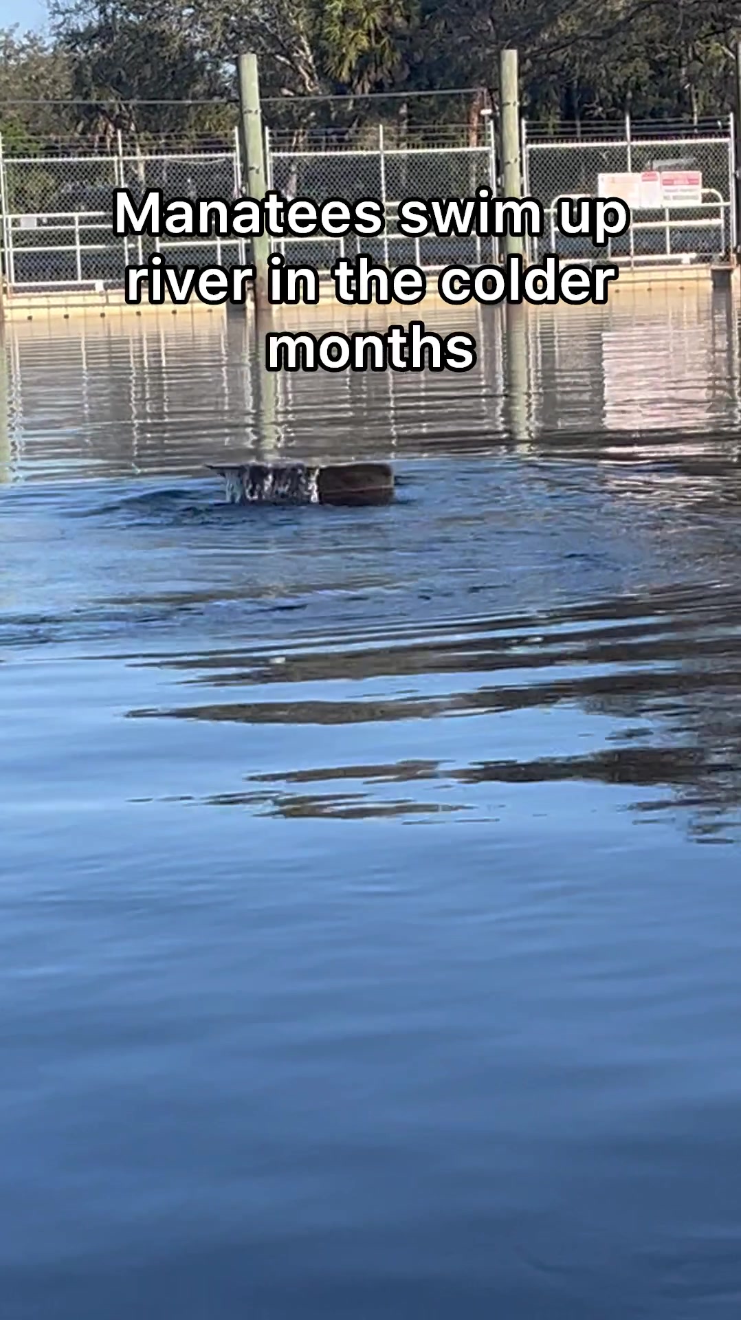 @zekebacon