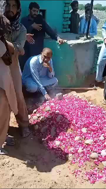 @RAJABALI2640