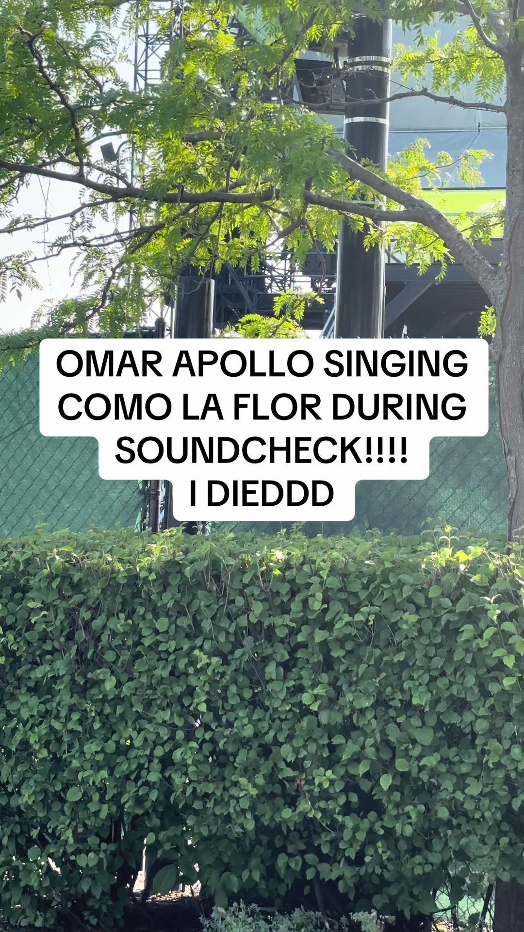 @papipolonio
