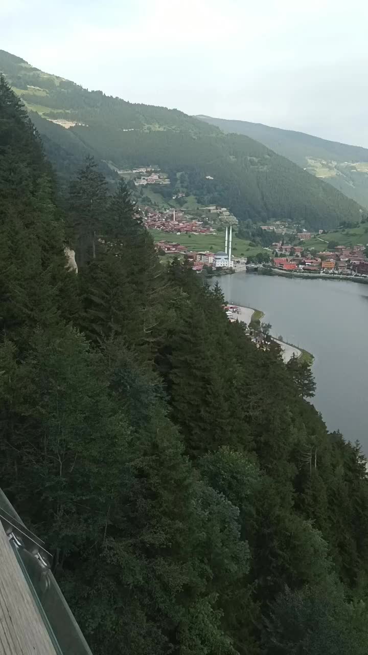 @CemSeyreksakal