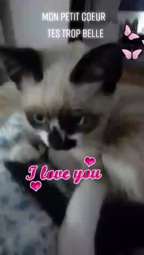 @Lisa ❤❤