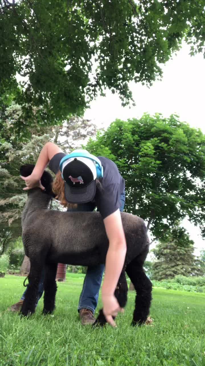 @Jmertinsfarm