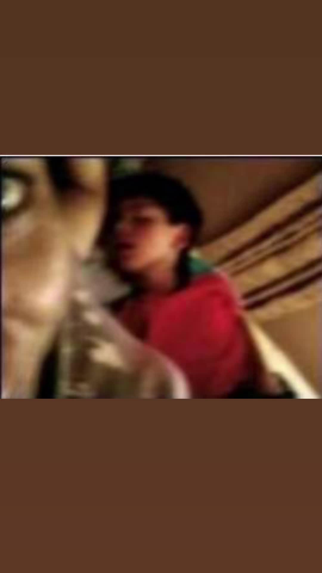 @forgotten_nostalgia_