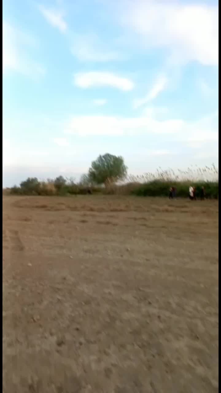 @Zalim_033