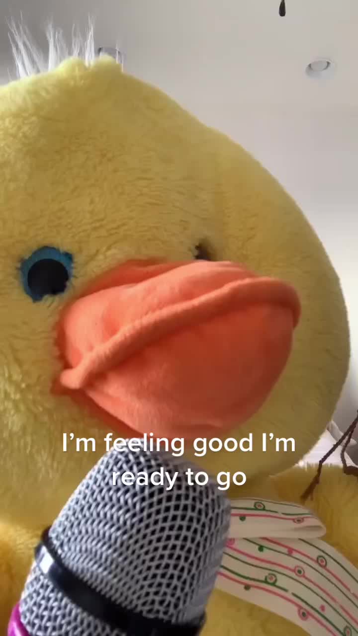 @HitGod