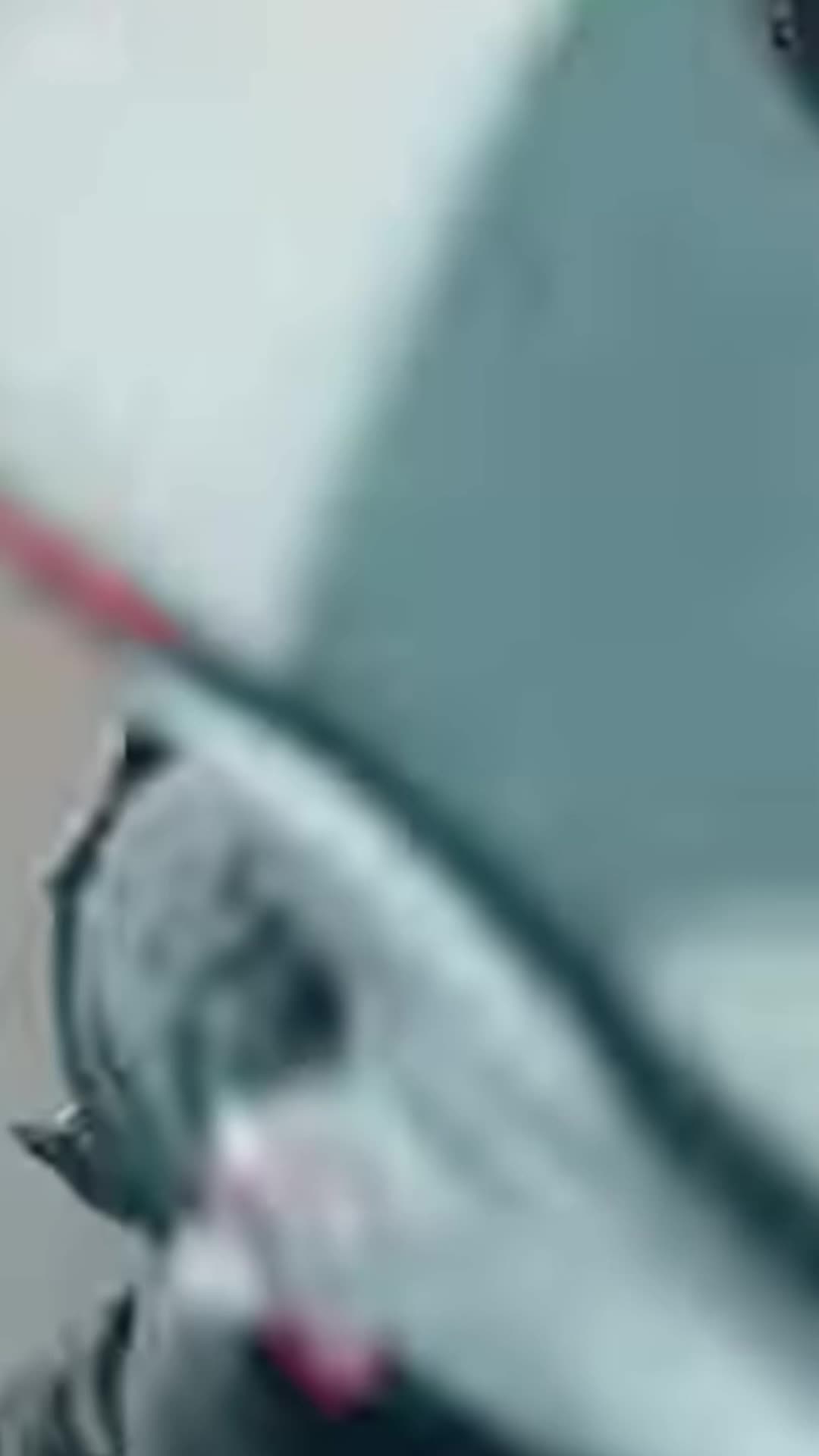 @🥺