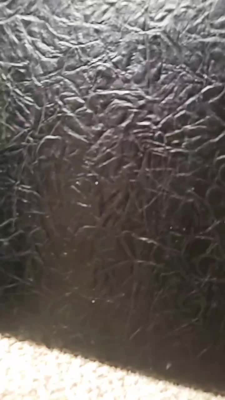 @user1986483976510