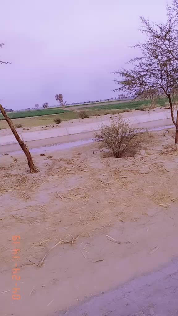 @King ๐๐ช๐ชS๐r๐๐ Sahib