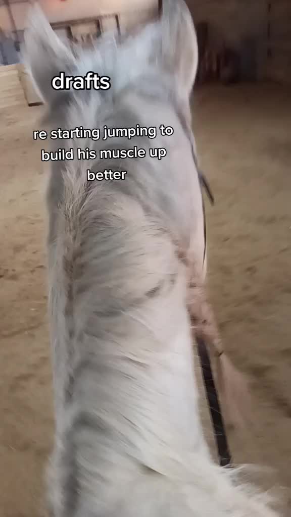 @horsie_rider