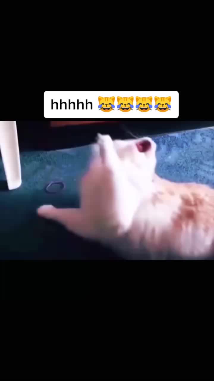@user87357065893