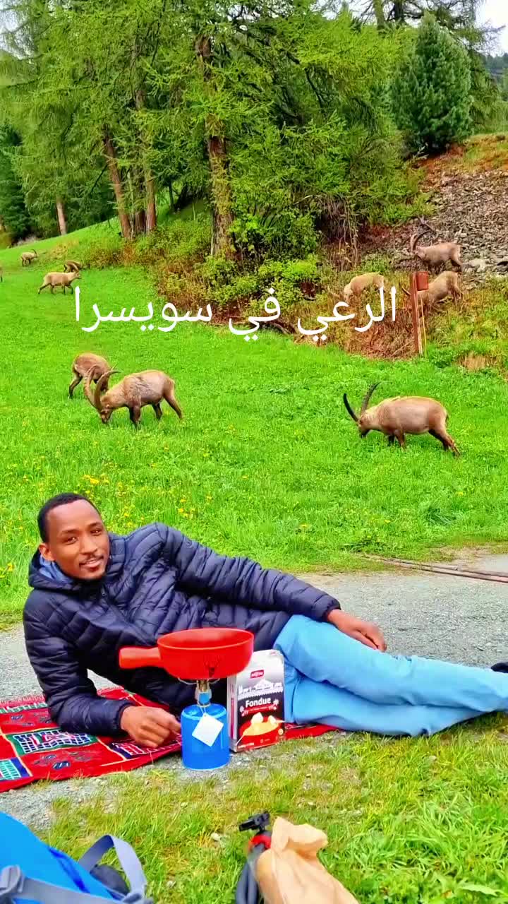 @السياحة في سويسرا🇸🇩🇨🇭 swis