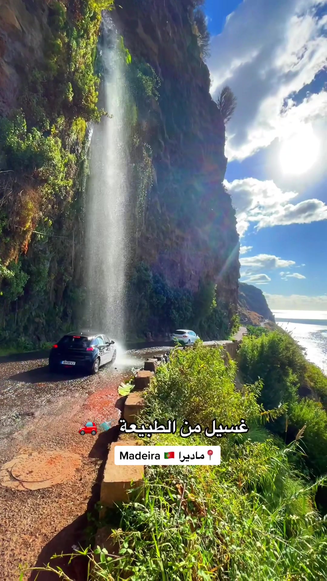 @محمد