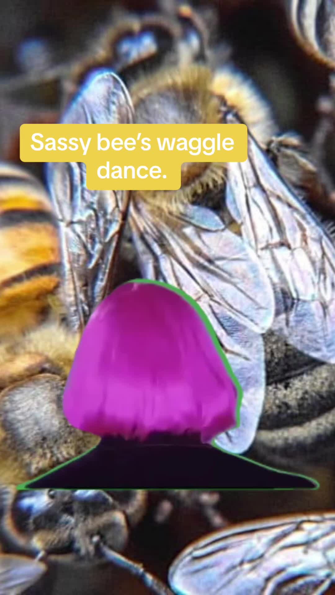 @GetAPBIOed