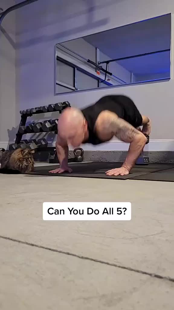 @Bones to Bulk