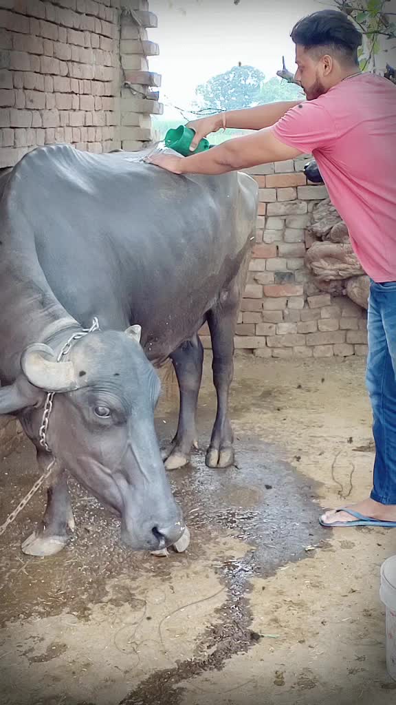 @@sandeep pandit