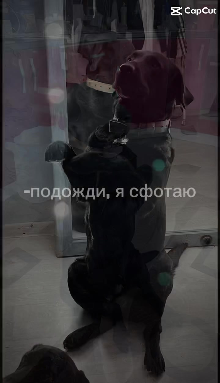 @полечкаа🤍