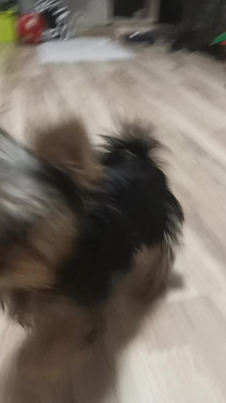 @MED 呢信息