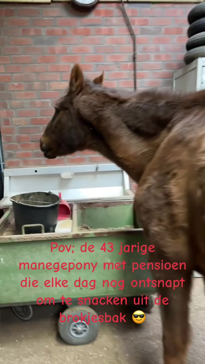 @Saskia Hakze