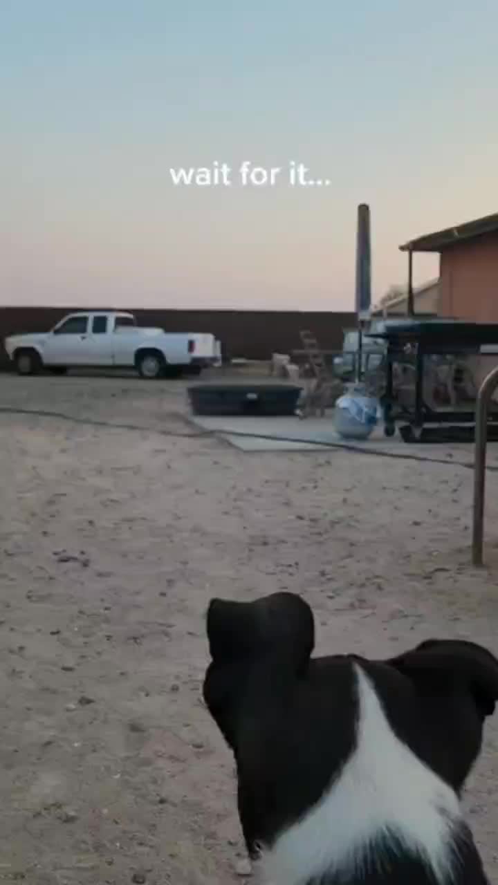 @fyygg12