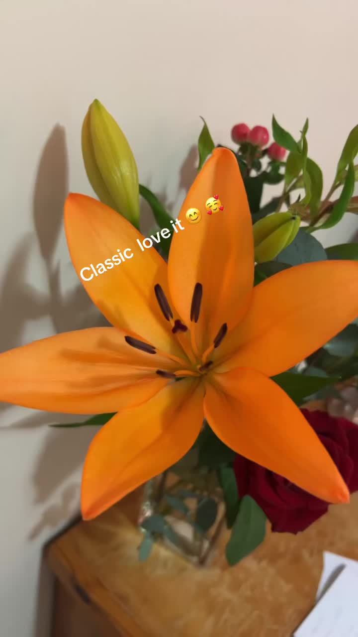 @Chef jen👩&zwj;🍳🇦🇺🦘😇😘